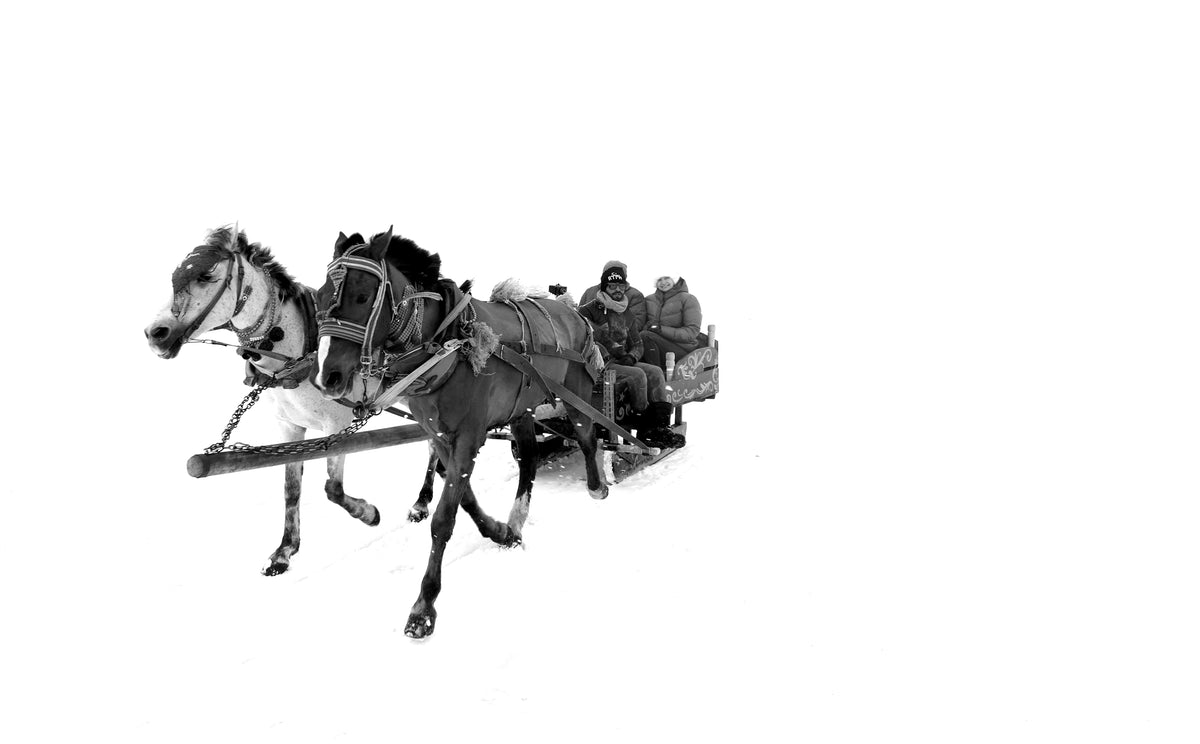 people on a horse pulled carriage in the snow