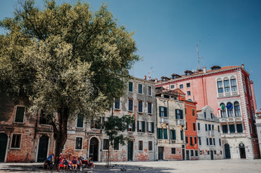 people on bench under tree on a street