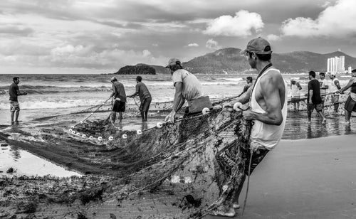 people pulling a fishing net to shore in black and white