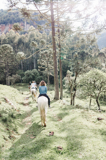 people ride white horses on a green pathway