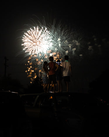 people stand together and watch the fireworks overhead