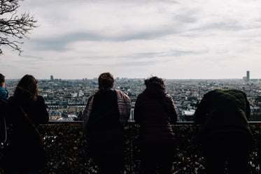 people standing at fence looking out to the city