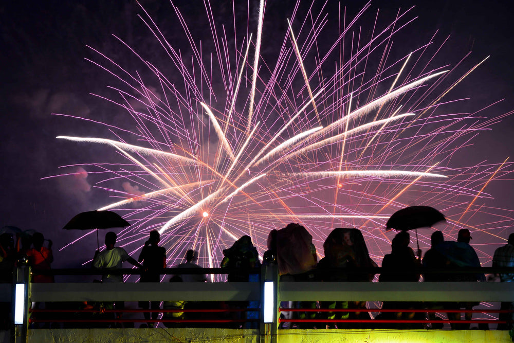 people standing outdoors viewing fireworks