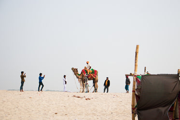 people taking their photos in the desert