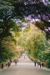people walk down wide pathway surrounded by trees