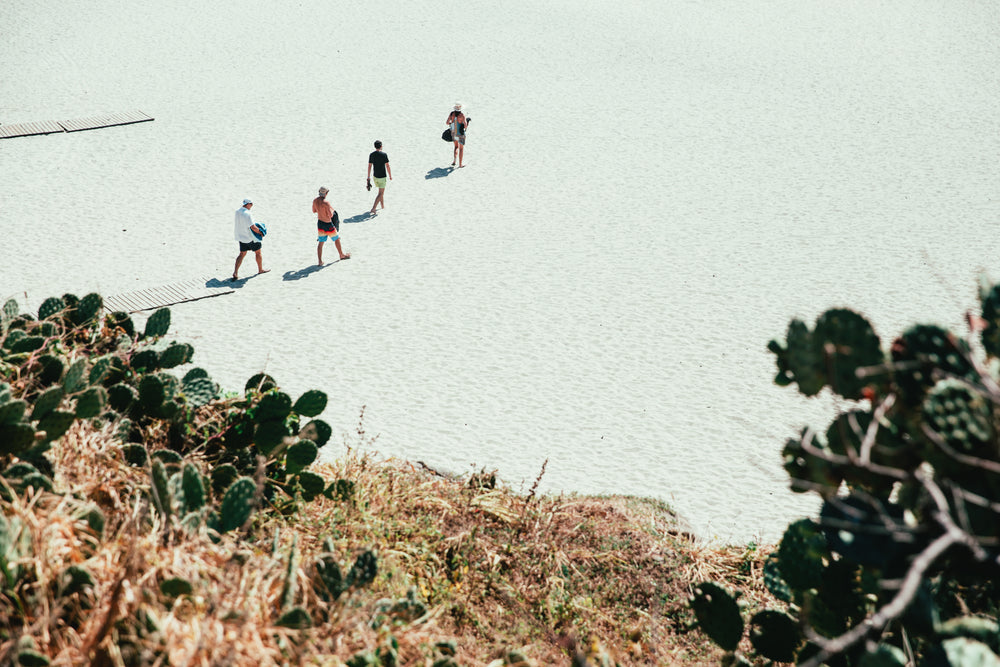 people walk on bright beach