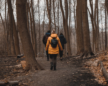 people walk through leafy trails