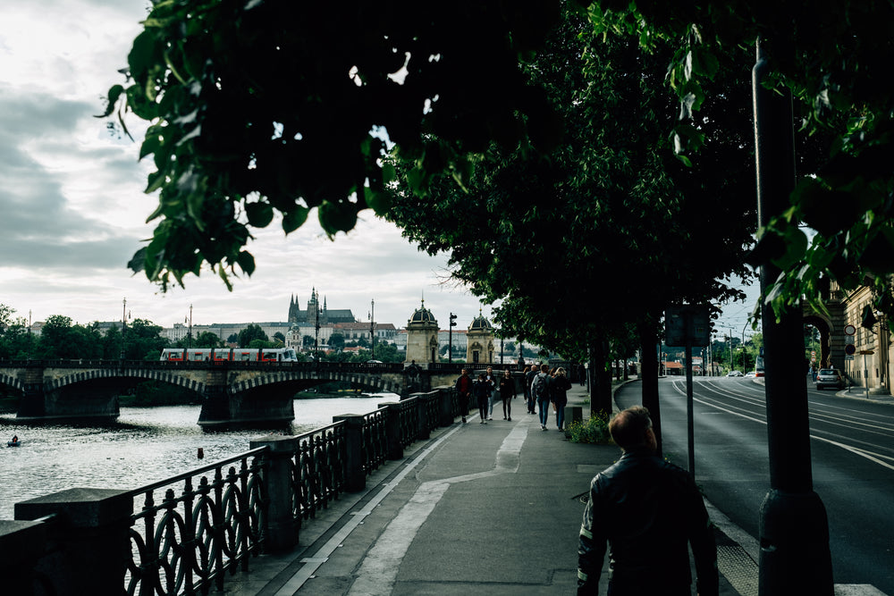 people walking on a tree lined sidewalk by a river