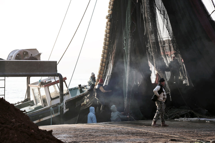 People Working With Nets And Mast Of A Boat