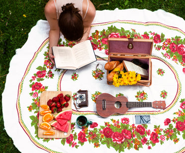 perfect afternoon picnic in the sun