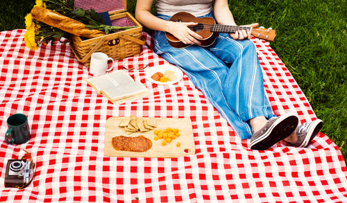 perfect afternoon picnic with food and music