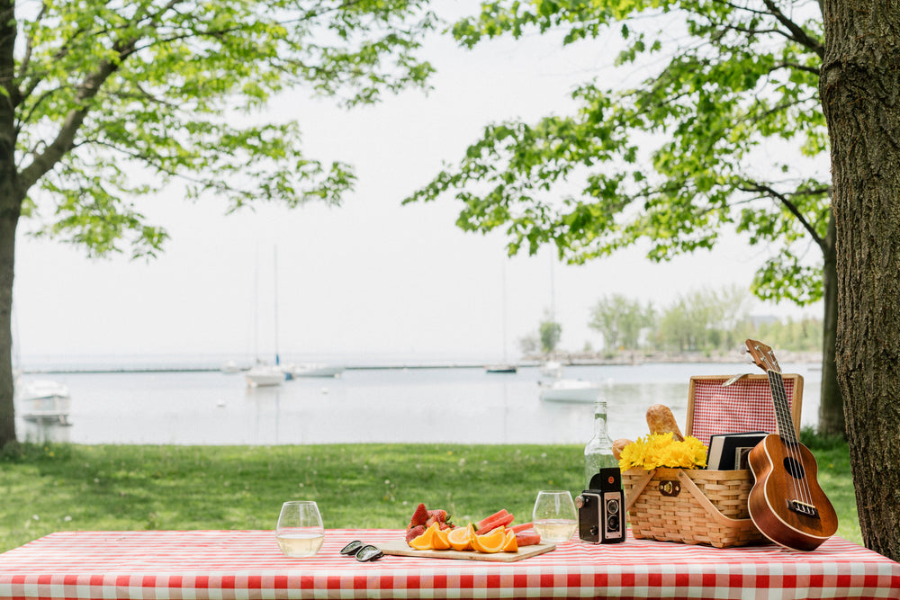 perfect picnic in park by the shore