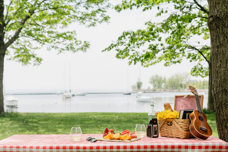 Perfect Picnic In Park By The Shore