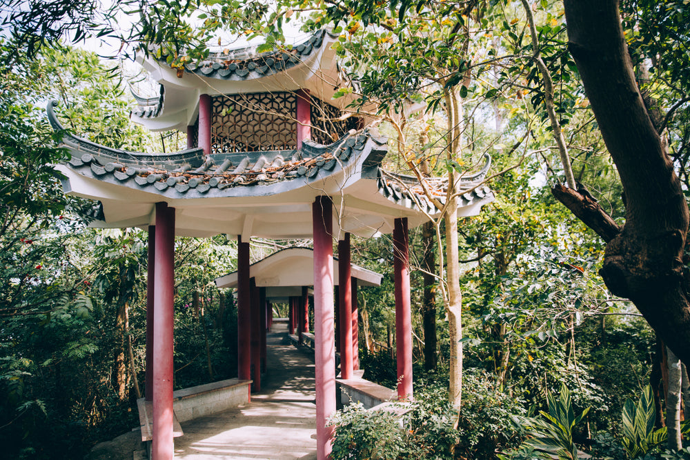 pergola in the woods