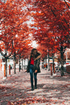 person admires red fall trees