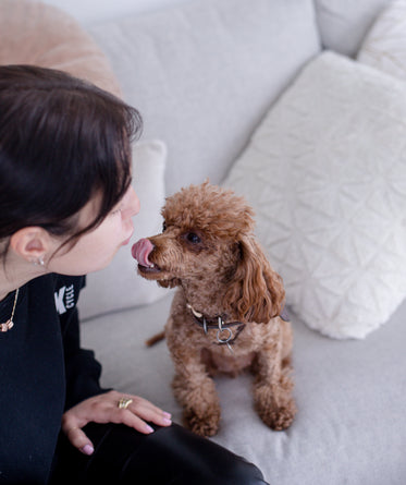 person and puppy look at eachother