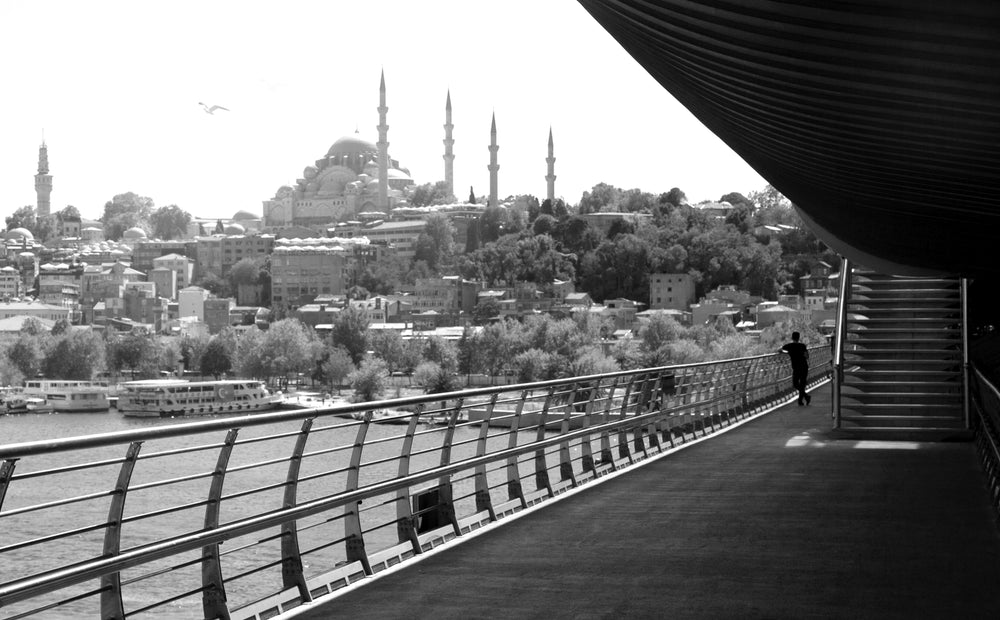 person at end of walkway taking view of the city