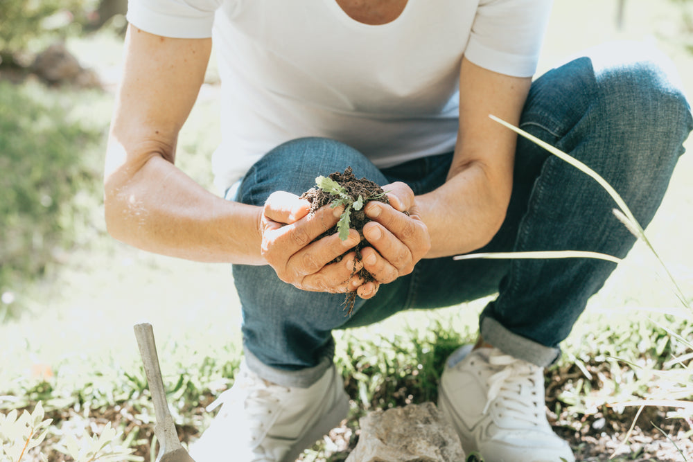 person crouches down and cups soil in their hands