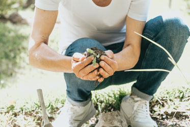 person crouches down and cups soil in their hands