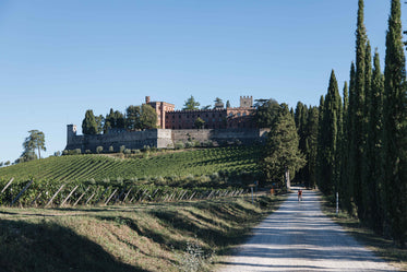 person cycles next to a vineyard