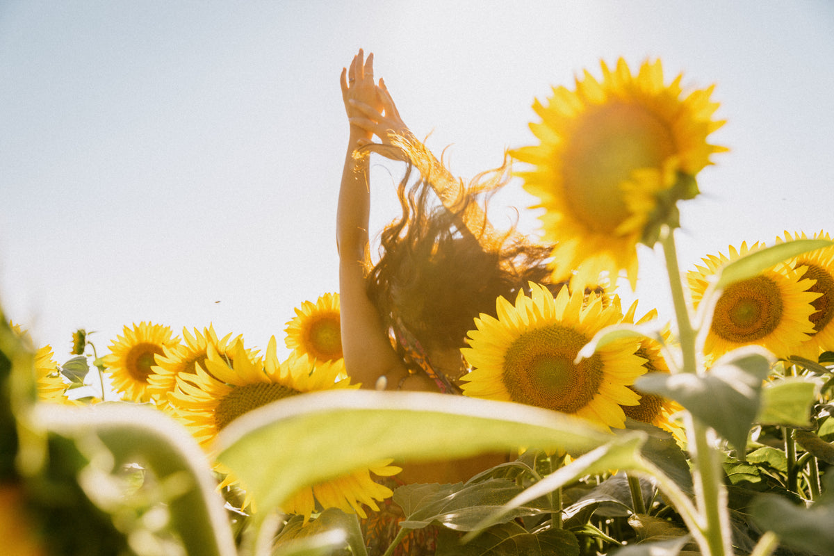person dances among the sunflowers