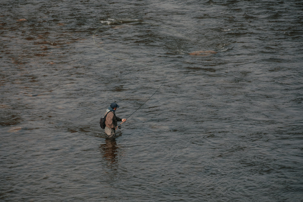 person fly fishing viewed from above