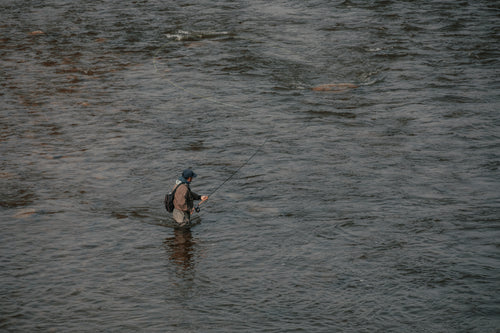 person fly fishing viewed from above