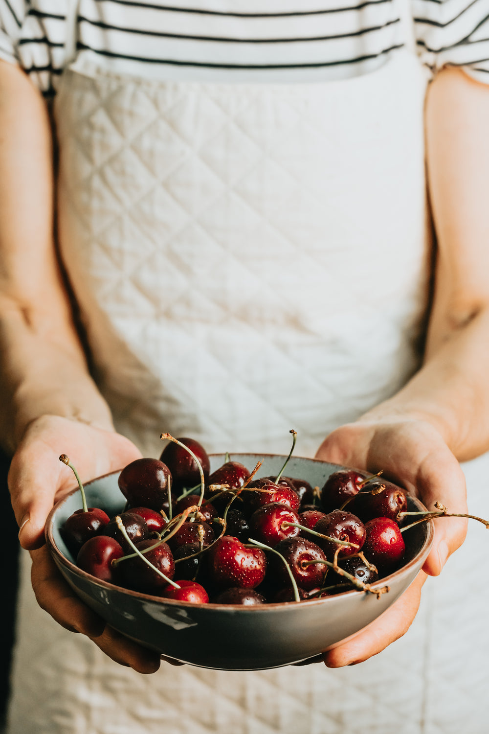 person holds out a bowl of fresh cherries