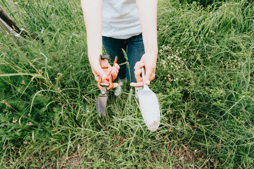 person holds out pruning shears and a trowel