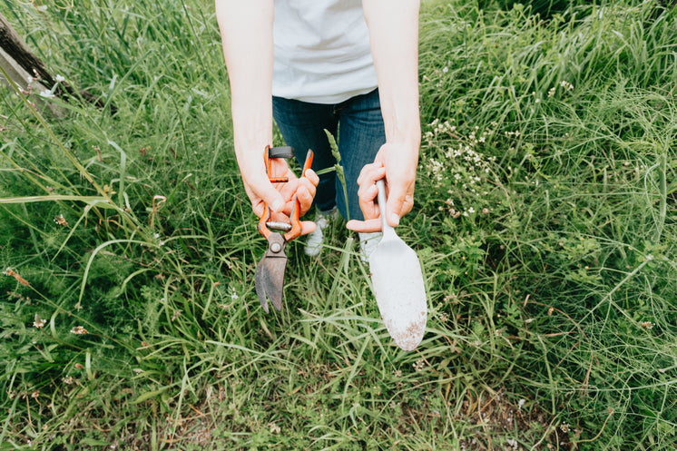 person-holds-out-pruning-shears-and-a-trowel.jpg?width=746&format=pjpg&exif=0&iptc=0