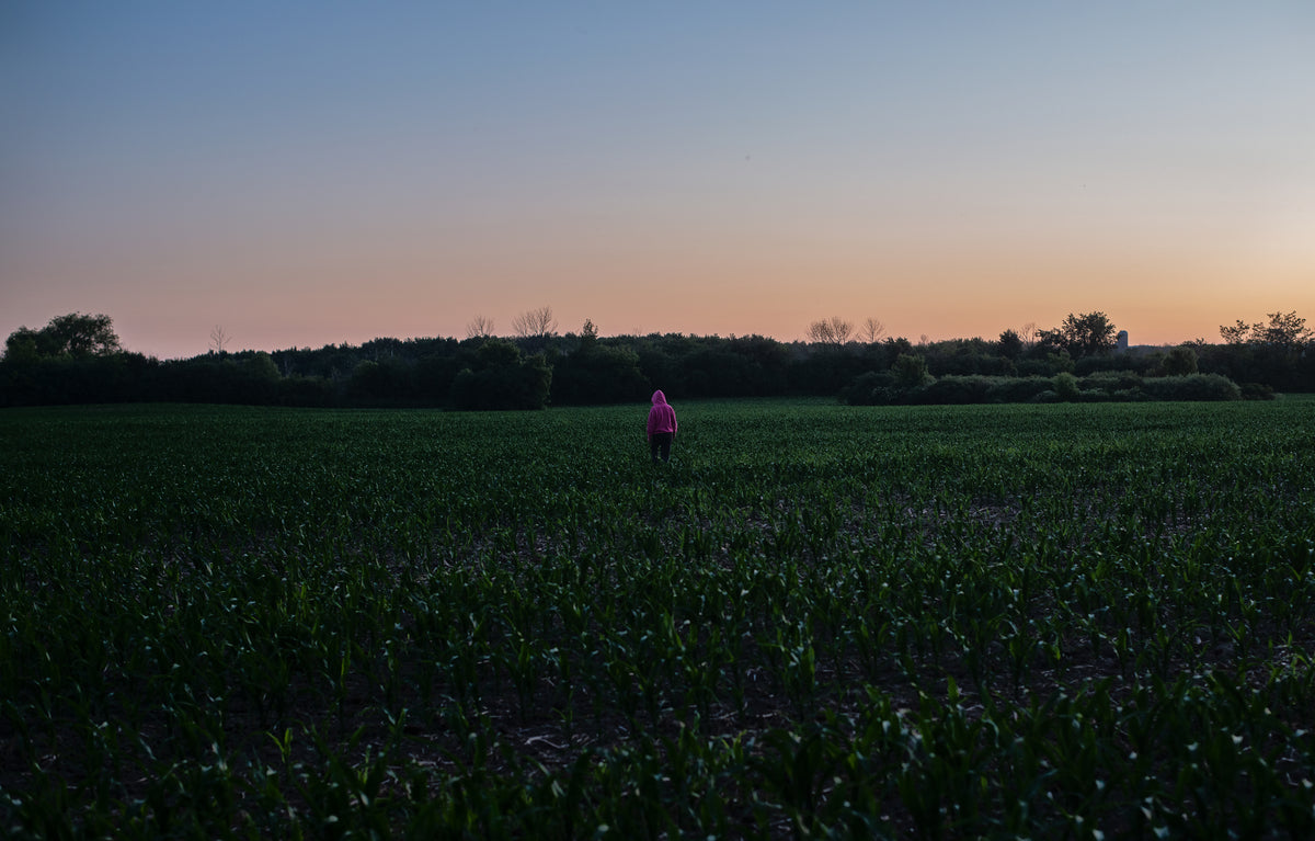 一个穿着粉色卫衣的人在夕阳下走在农民的田地里