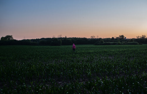 person in a pink hoodie walks a farmers field at sunset