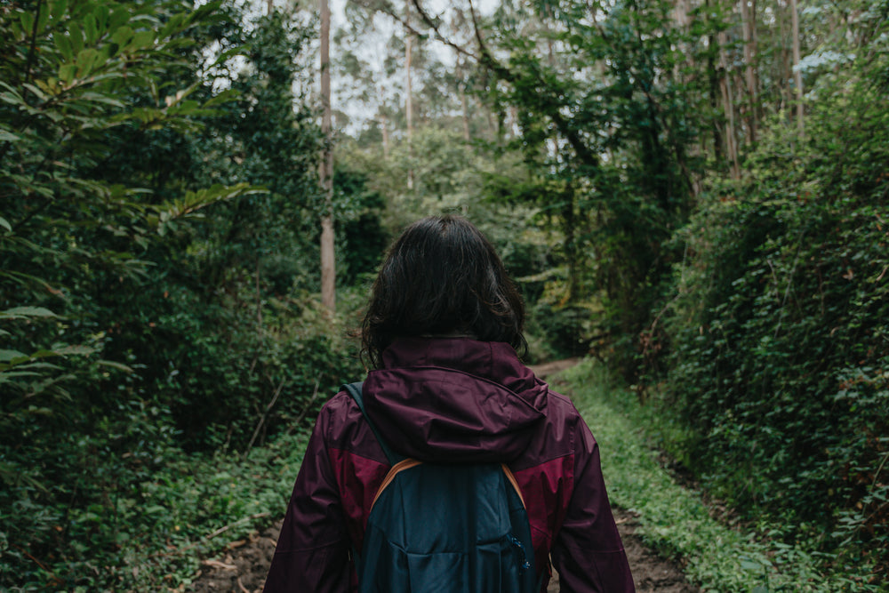 person in a red raincoat walks down a lush pathway