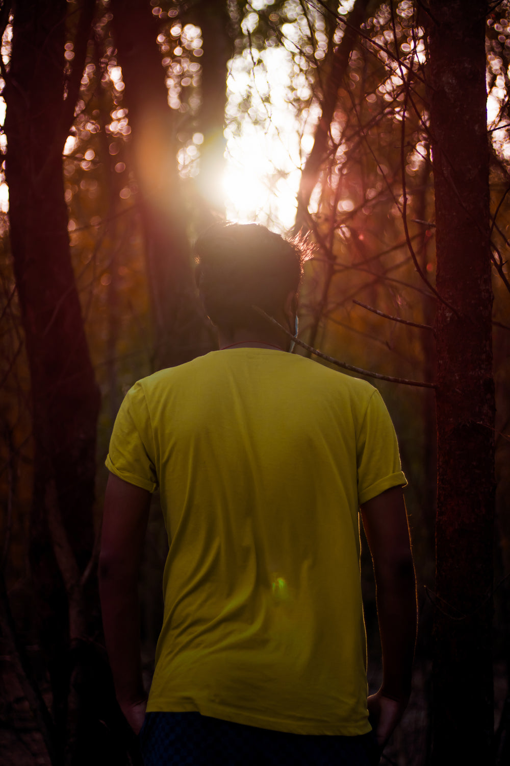 person in a yellow shirt walks into a dark forest