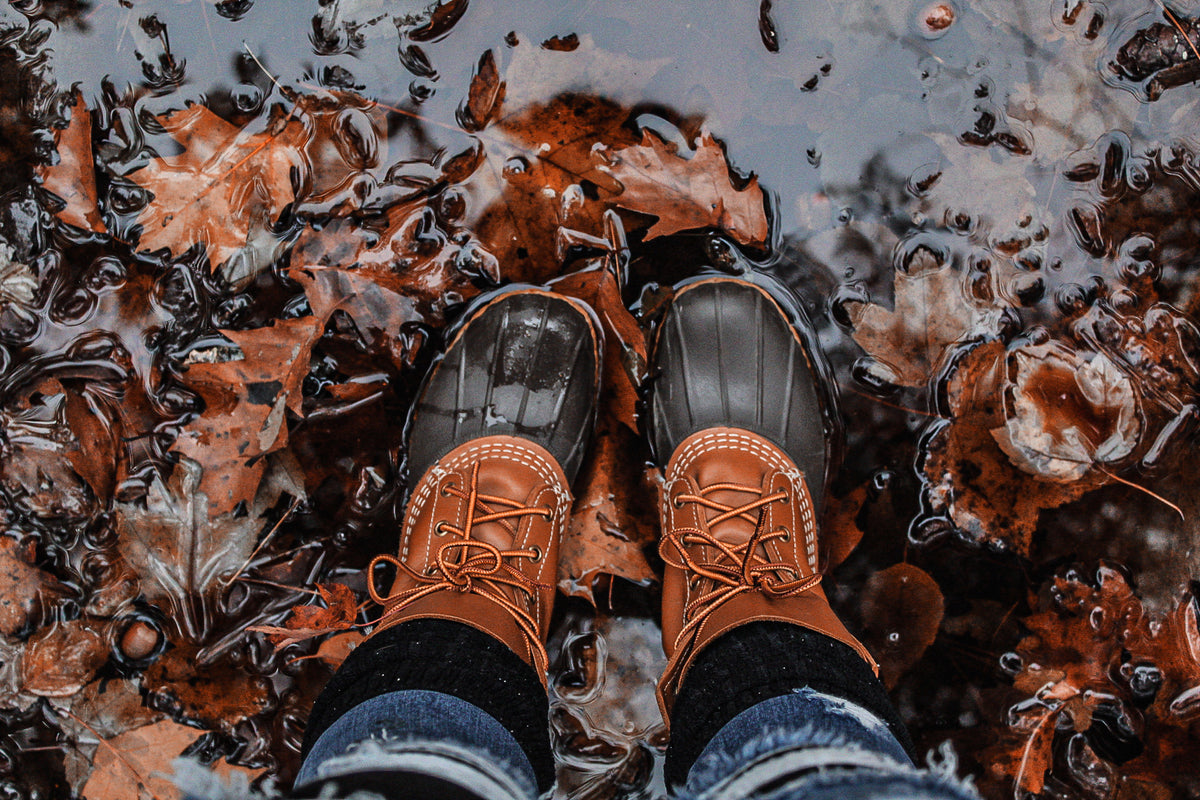 穿着靴子的人站在树叶和水里