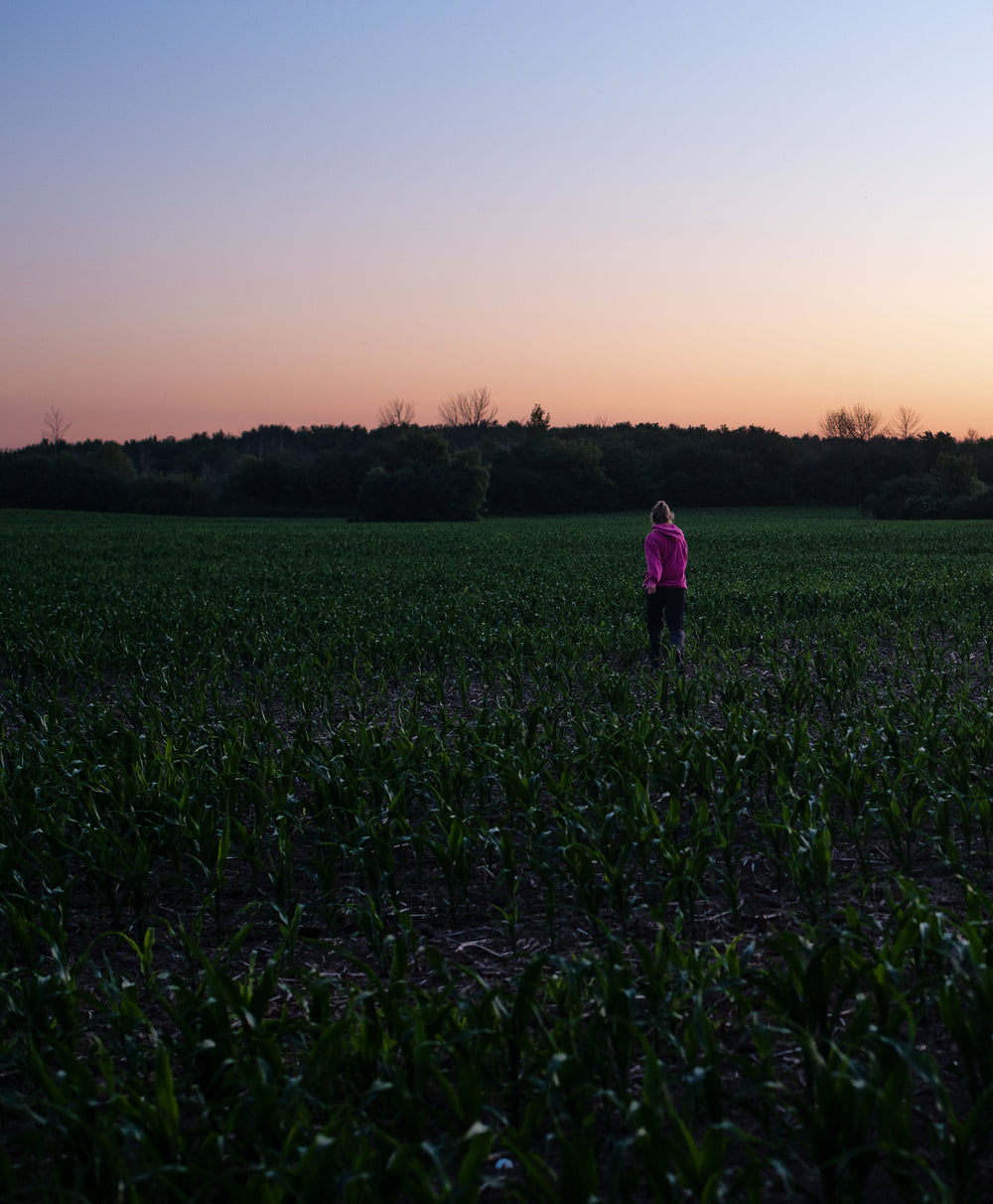 person in pink walks in a field of small corn plants