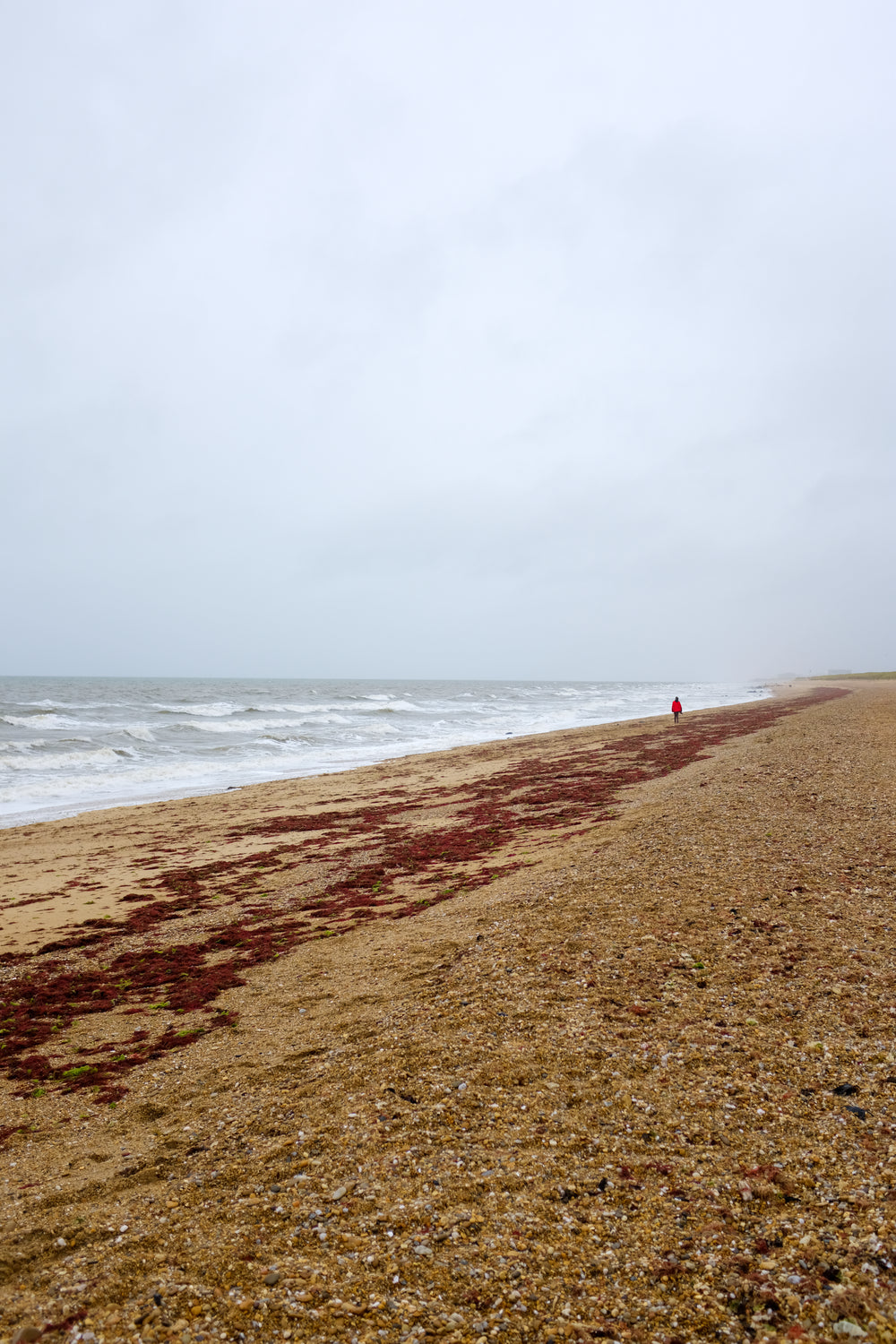 person in red walks an empty beach