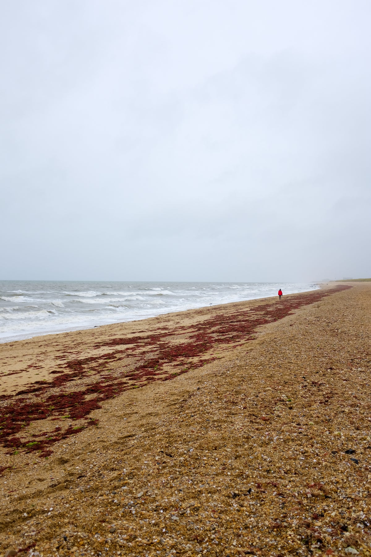 person in red walks an empty beach
