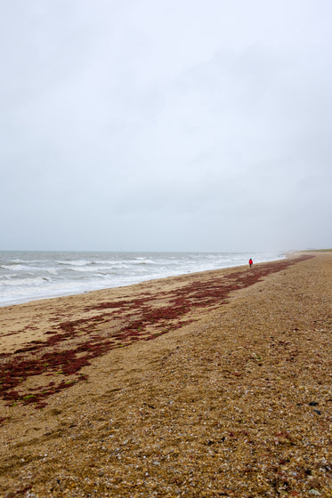 person in red walks an empty beach