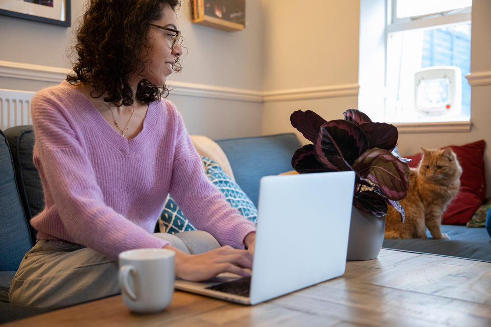 person looks at a cat while sitting in front of a laptop