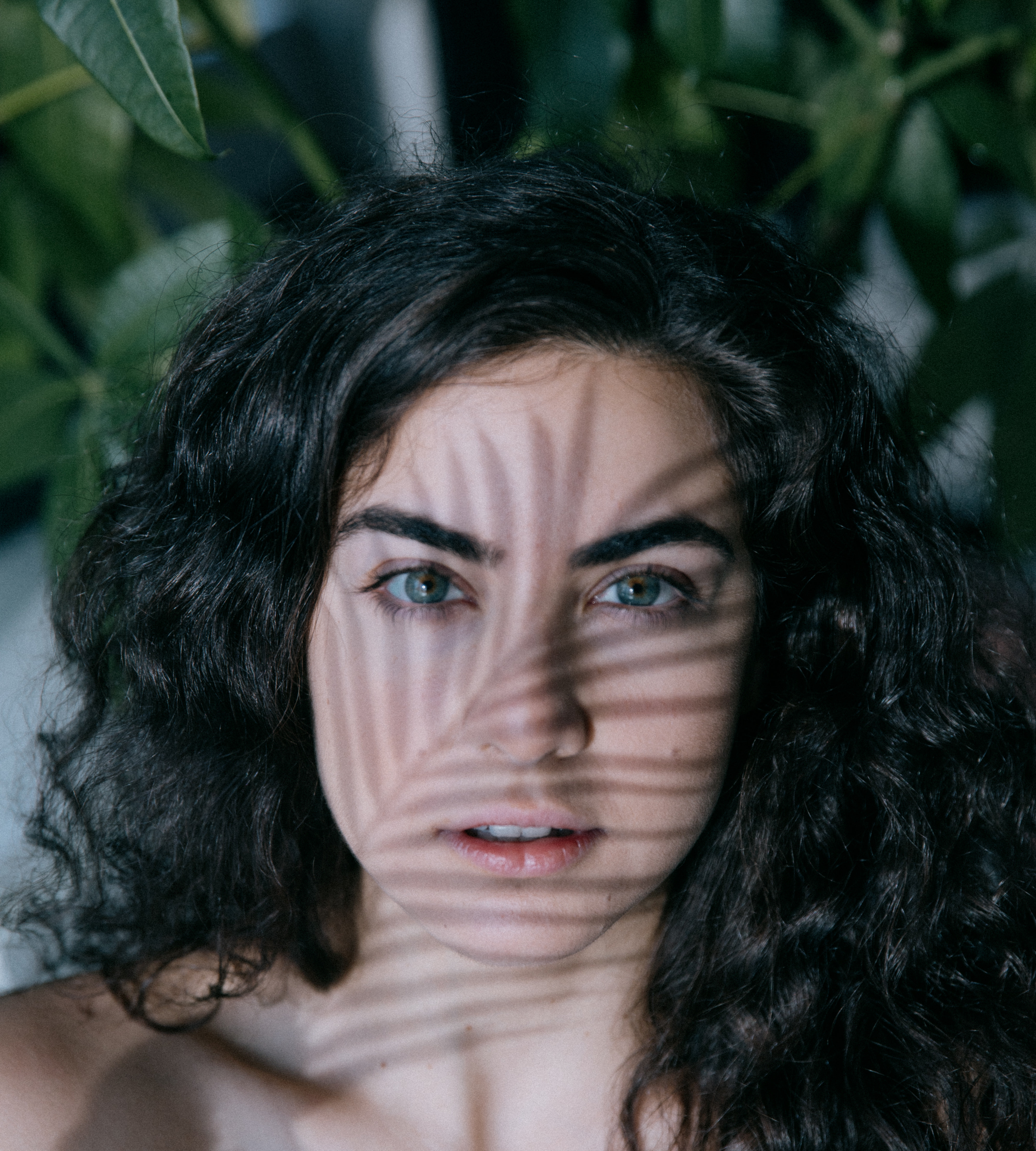 Person Looks Forward With The Shadow Of A Leaf On Their Face