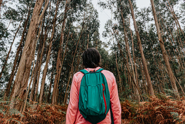 person looks out to a tall forest of thin trees