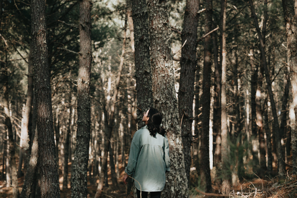 person looks up in a forest of brown tree trunks