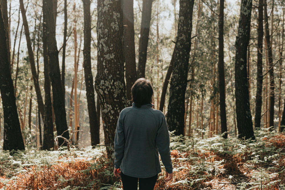 person looks up while standing in a forest