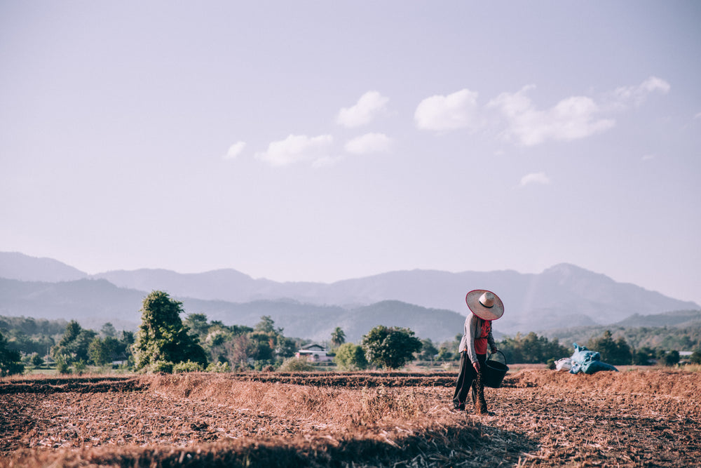 person prepares land to sow seeds