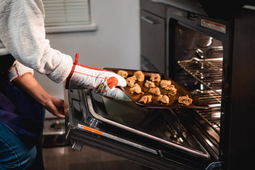 person puts cookies into the oven to bake