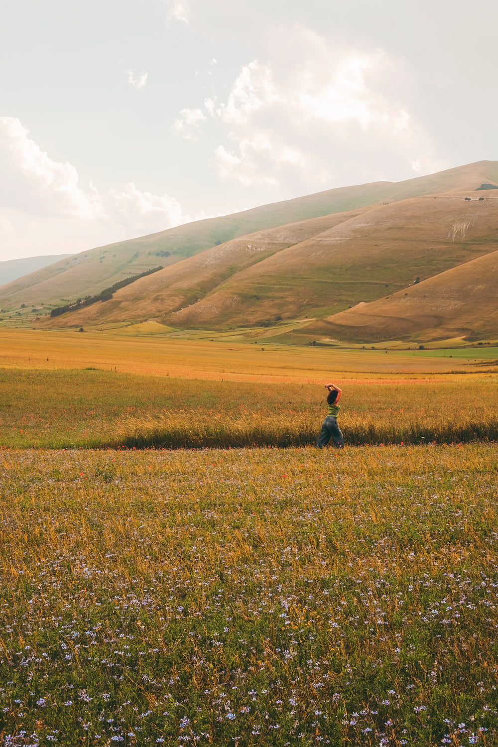 person reaches upward in open grassy field