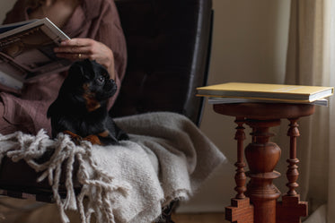 person reading next to a puppy on a wool blanket