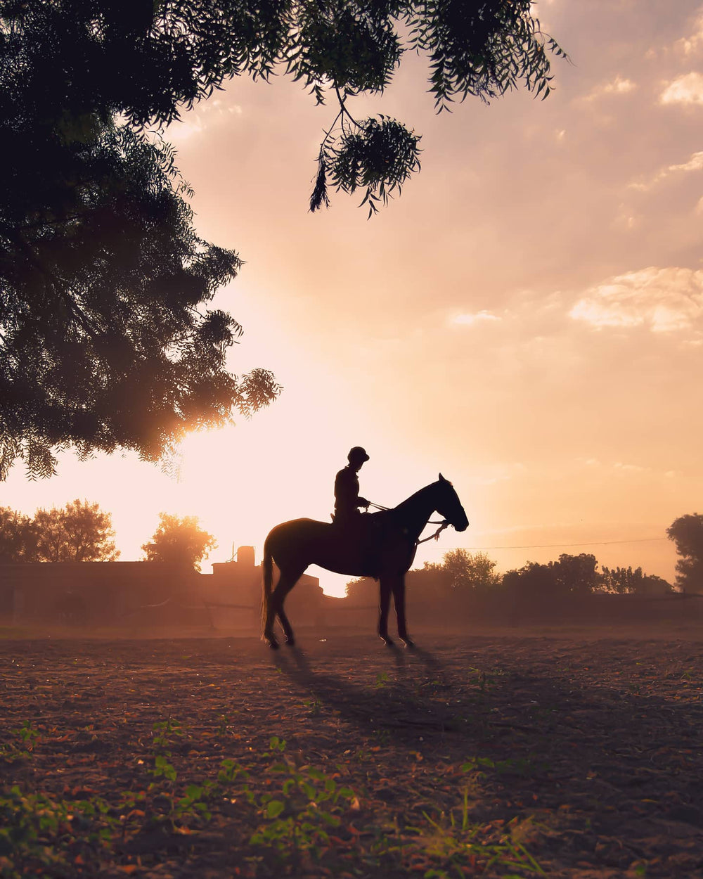 person silhouetted on a horse in a open field