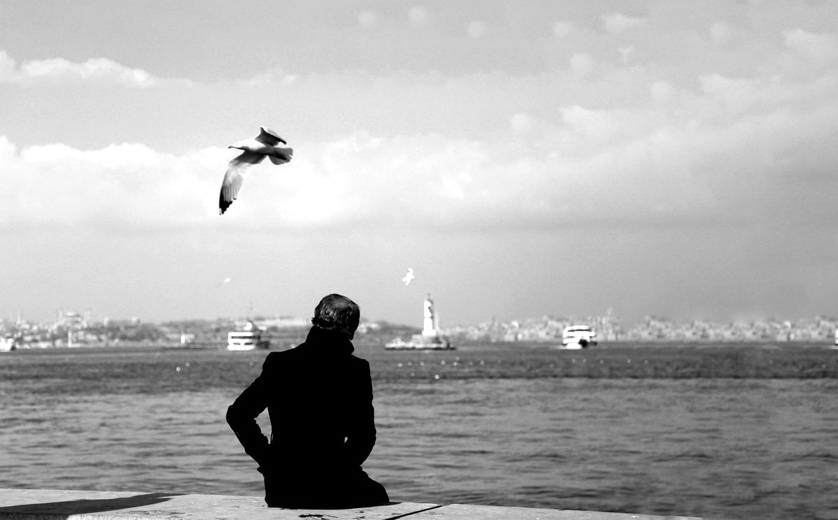 person sits on the shore with birds flying overhead